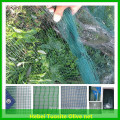 vert nouveau hdpe en plastique olive net, hdpe monofilament net